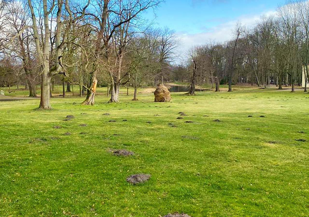 Spreewaldhof Hotell Vetschau Exteriör bild